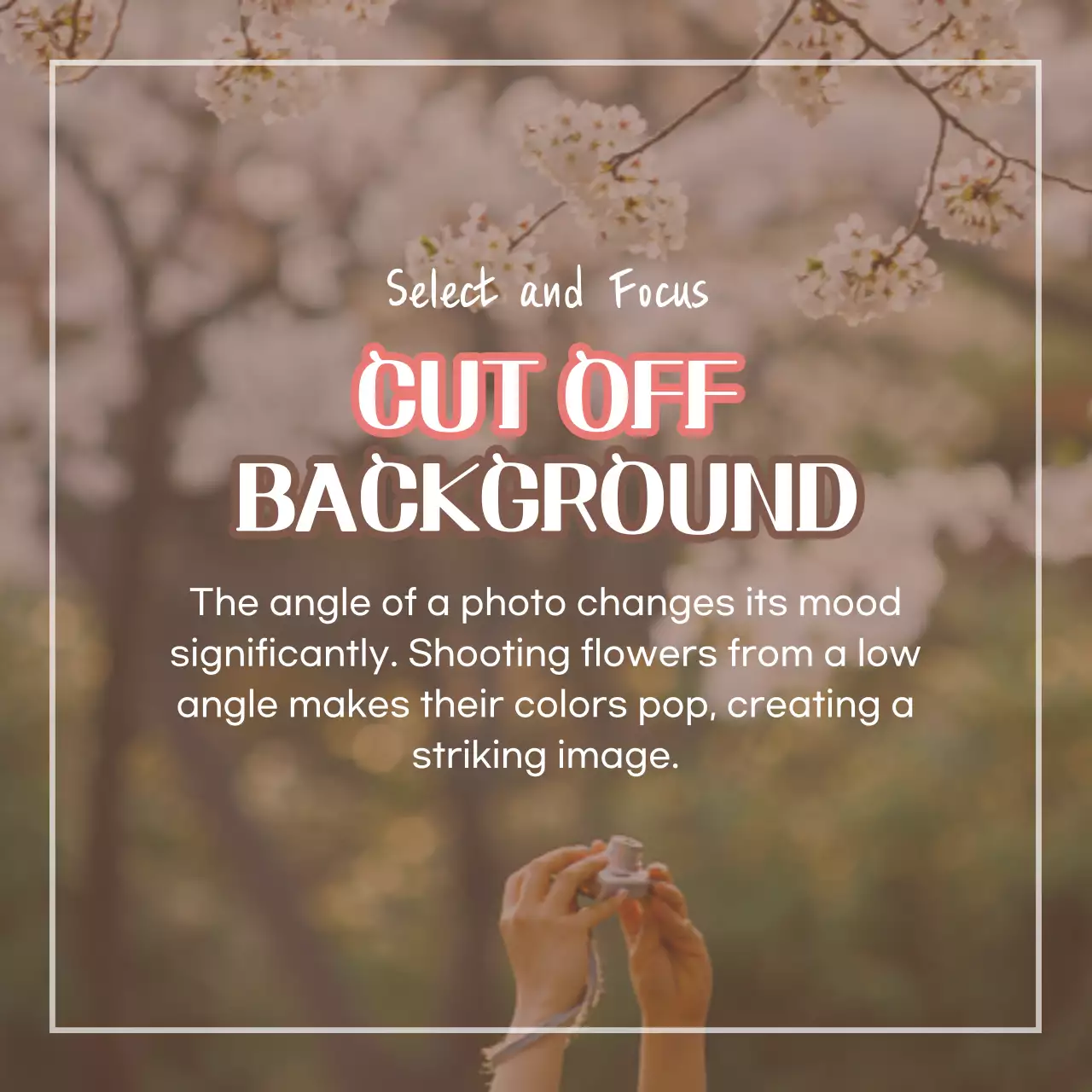 Guia de Fotografia Estética Rosa Carrossel do Instagram