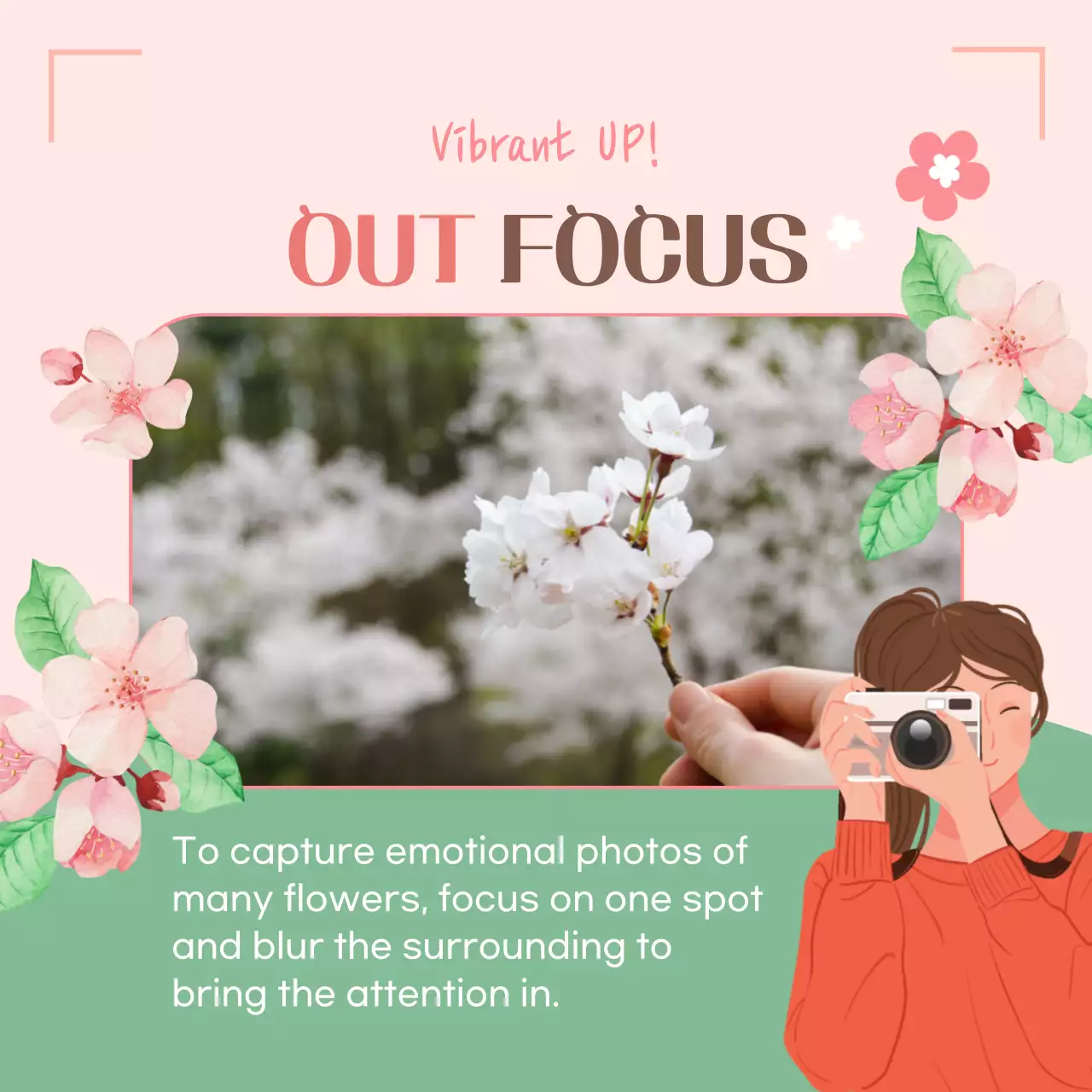 Guia de Fotografia Estética Rosa Carrossel do Instagram