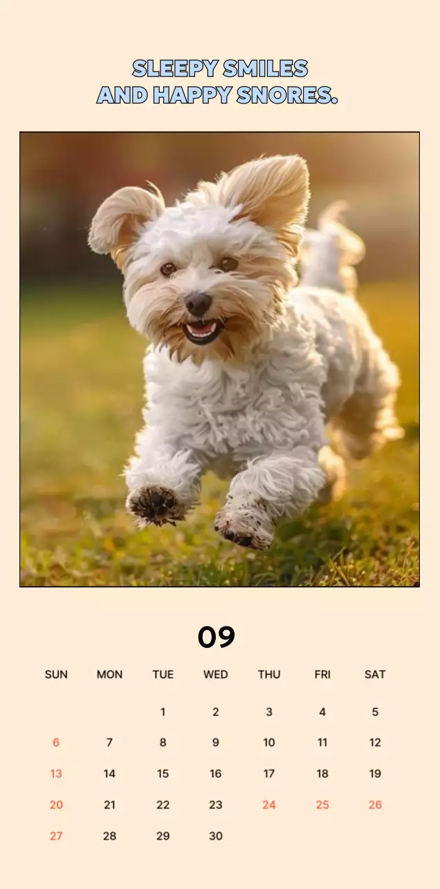 베이지 아기자기한 반려동물 캘린더