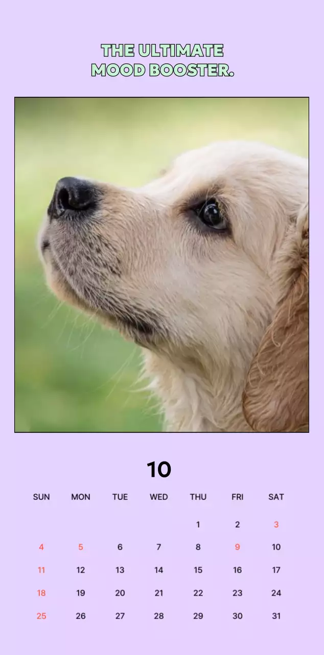 베이지 아기자기한 반려동물 캘린더