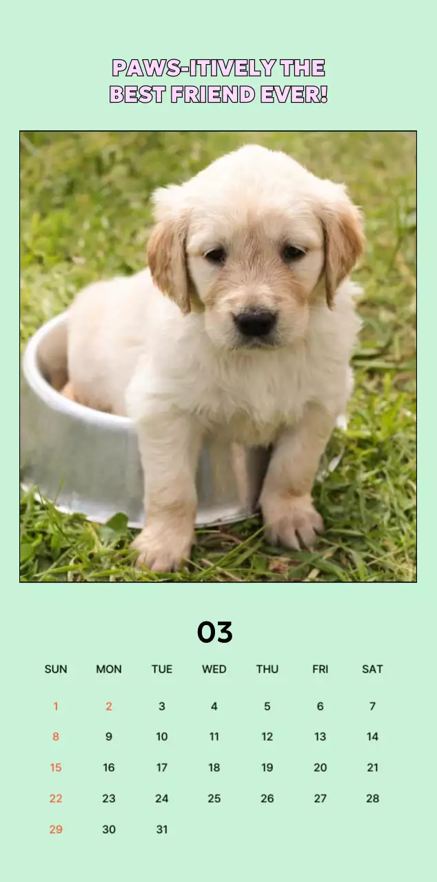 베이지 아기자기한 반려동물 캘린더