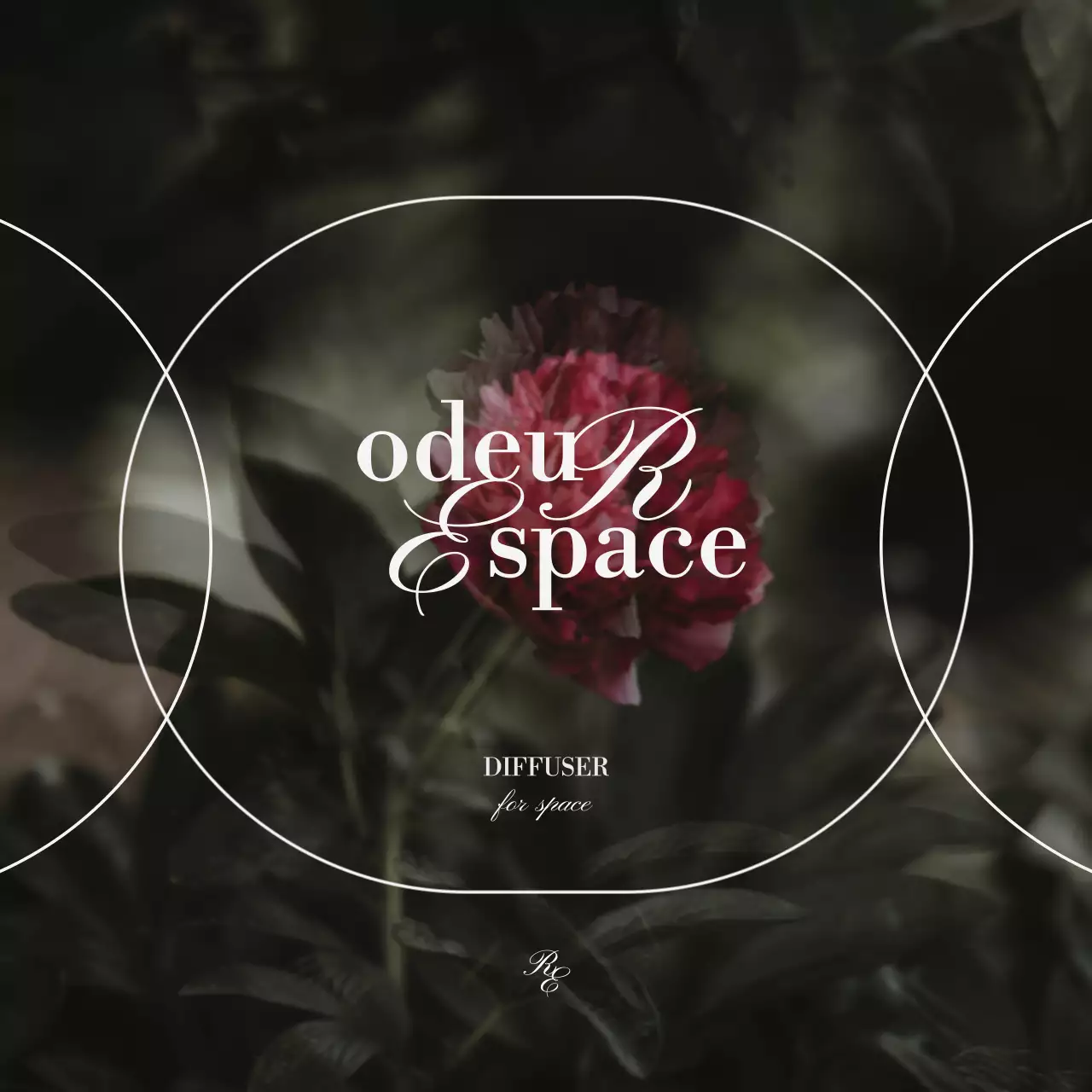 차분한 색상의 빈티지한 꽃 이미지가 있는 고급스러운 디퓨저 상품 소개용