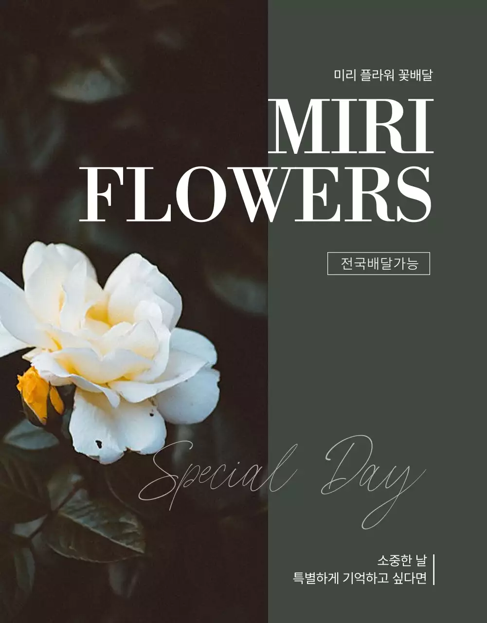 진녹색의 꽃의 구매 시즈널에 맞춘 꽃배달 서비스 안내