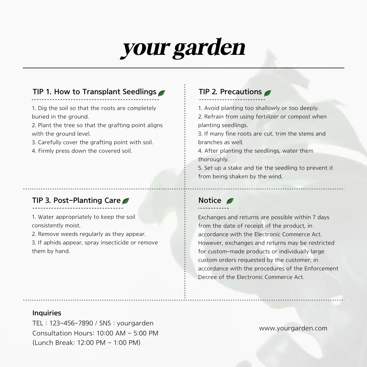 botanical concept interiorShopping mallExchangeRefund card postcard