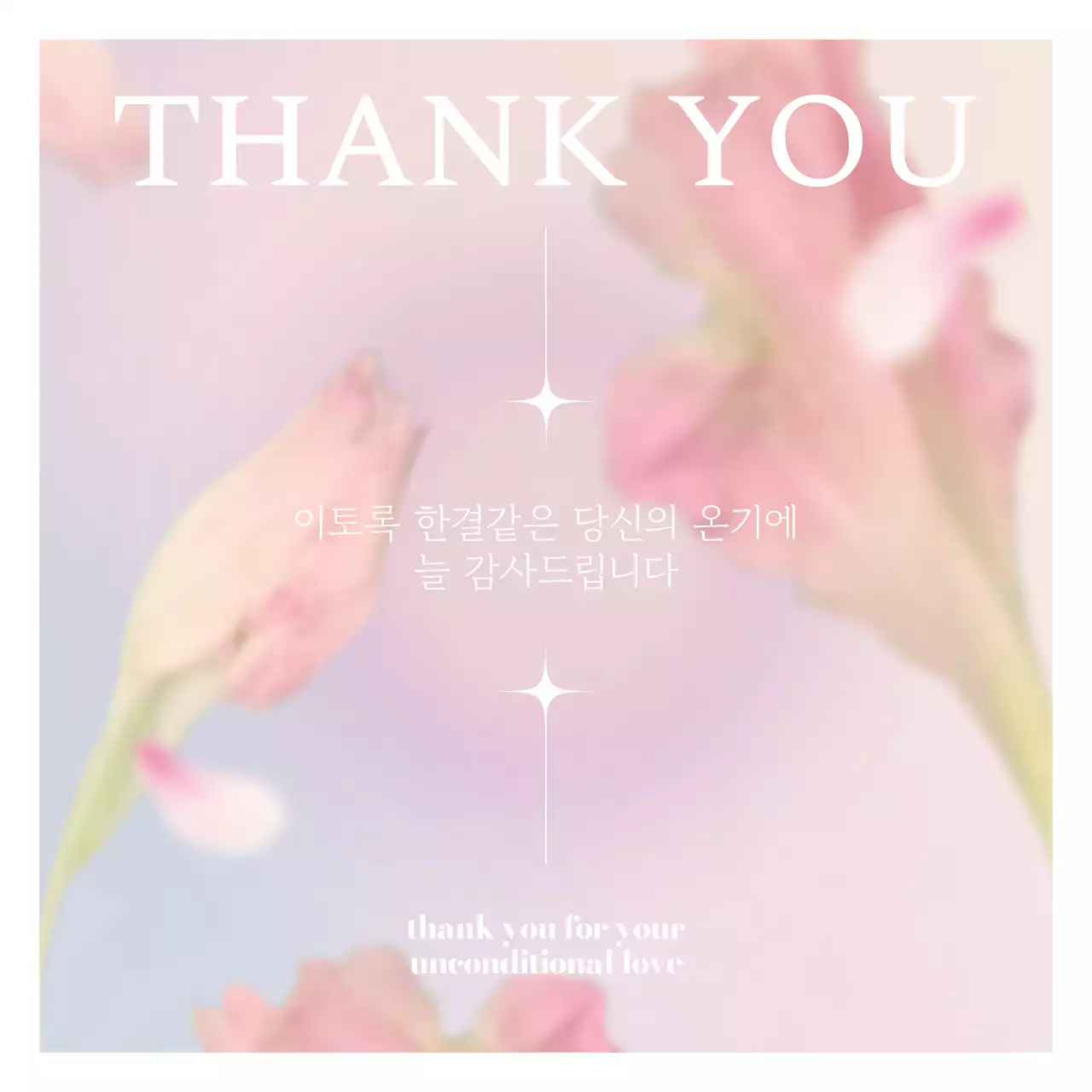 핑크와 흰색의 트렌드한 감성문구 게시글