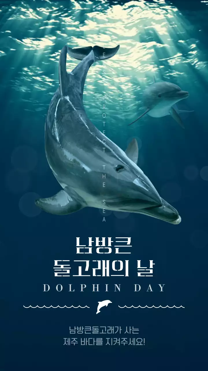 남색과 흰색의 남방큰돌고래의 날 캠페인