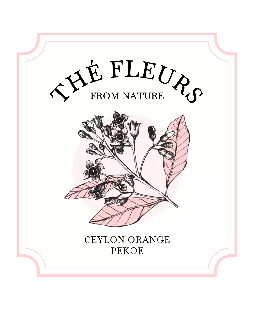 파스텔 핑크와 하늘색의 식물과 열매 스케치 일러스트가 있는 고급스러운 티백