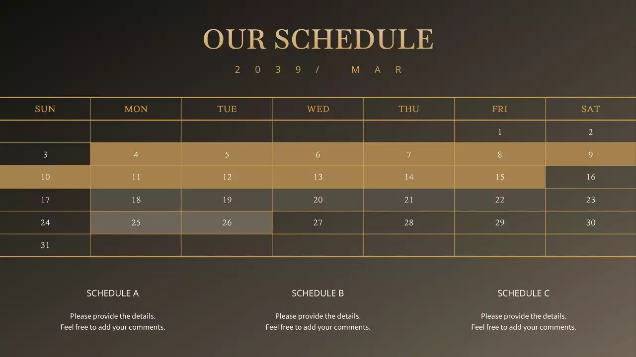 Black Minimal Schedule Planner Infographic