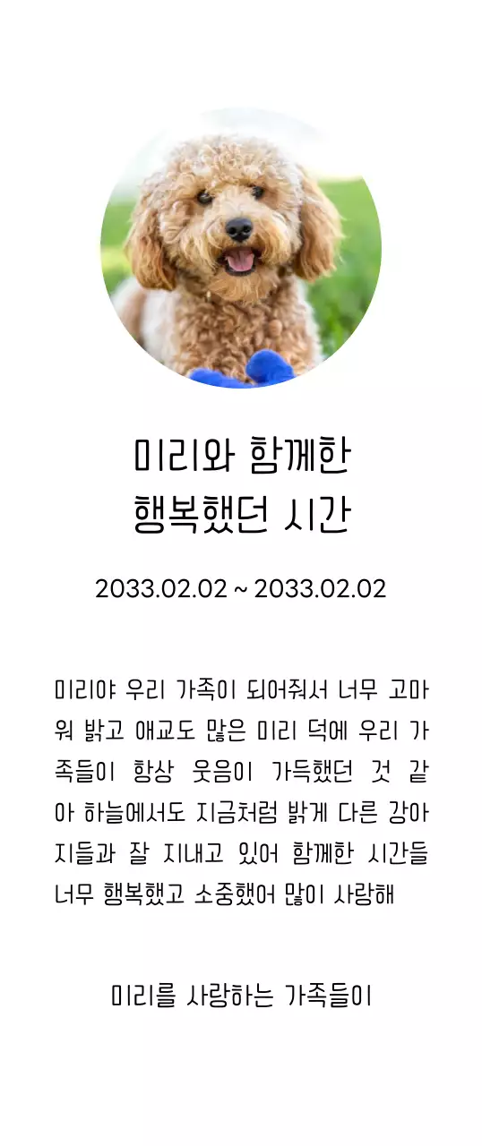 강아지 사진과 손글씨체가 있는 위패