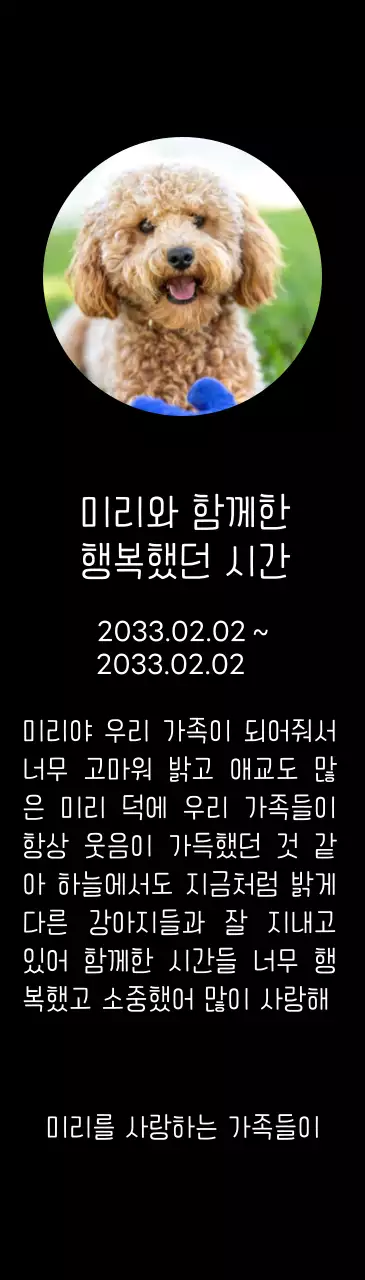 강아지 사진과 손글씨체가 있는 위패