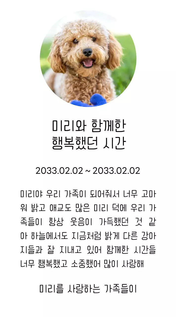 강아지 사진과 손글씨체가 있는 위패