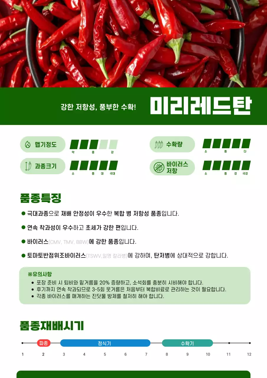 초록 모던 농업 제품 홍보