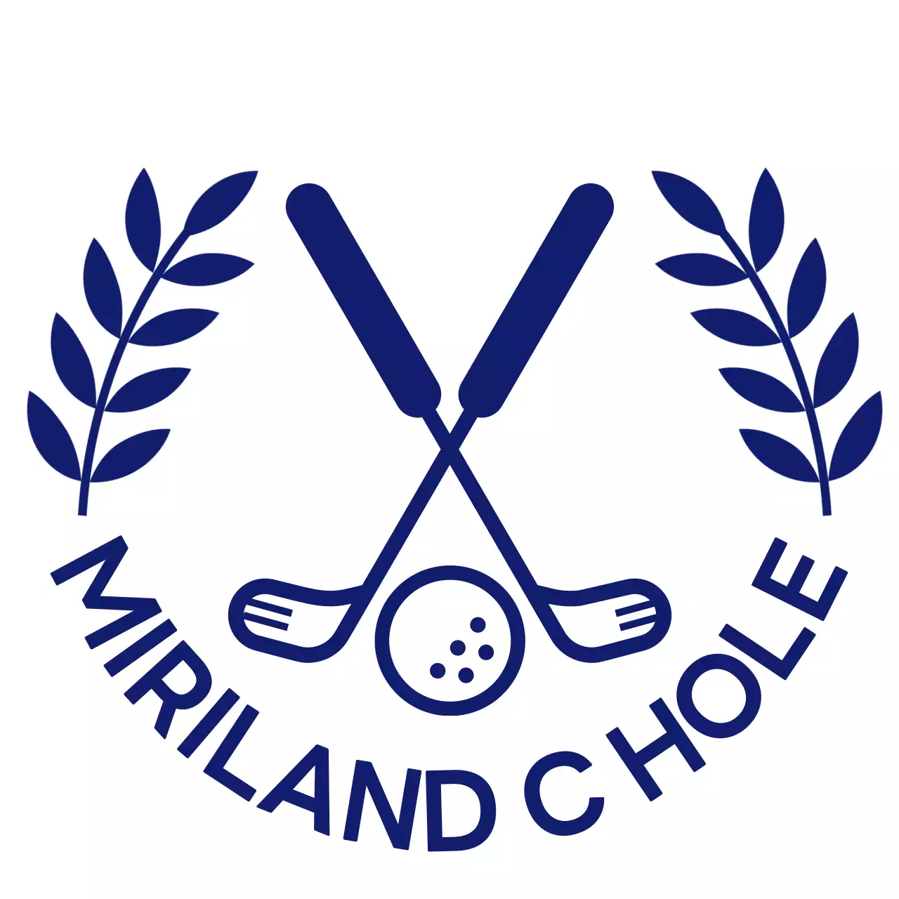 남색과 골드의 모던한 스타일의 골프 홀인원