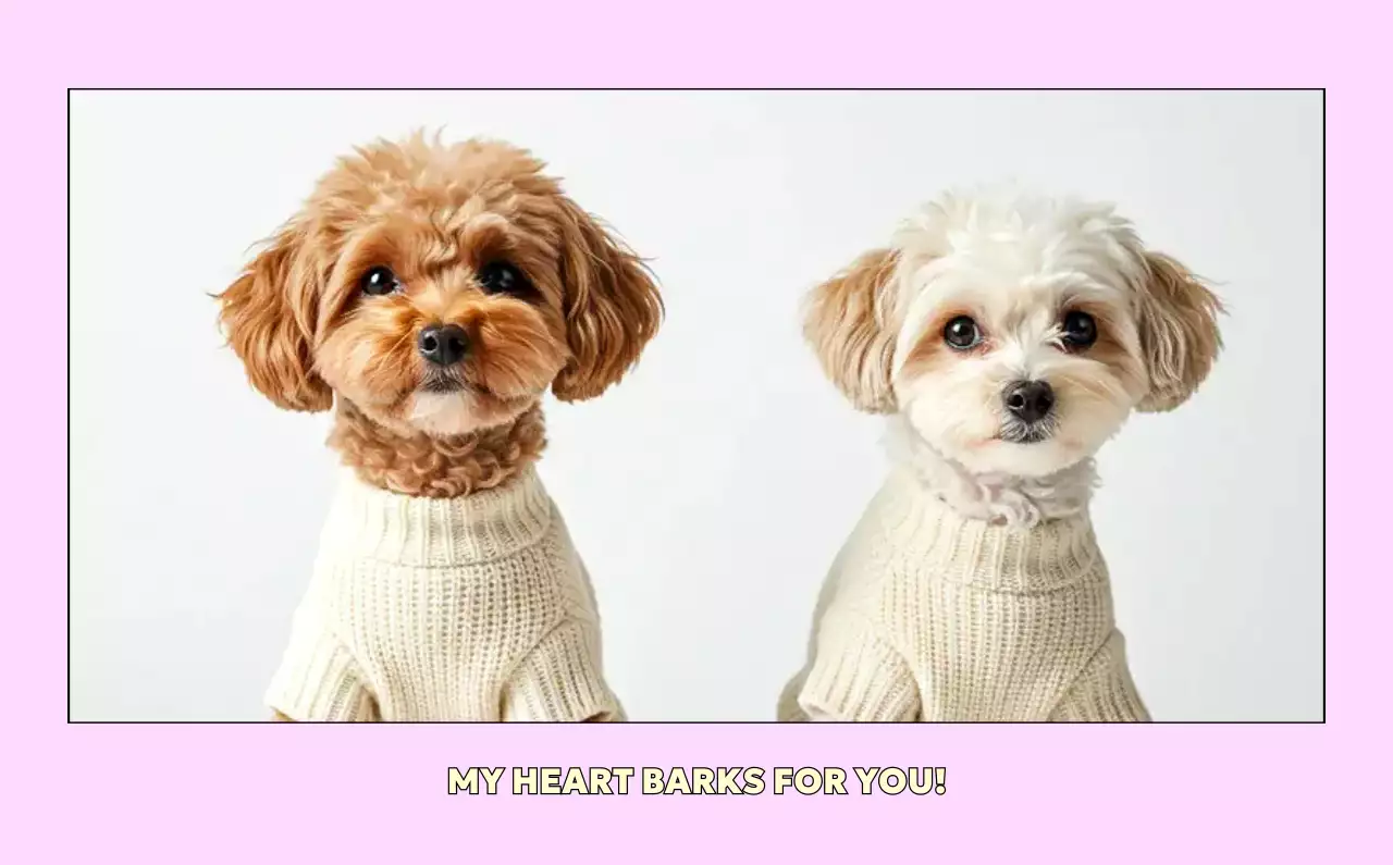 노랑 아기자기한 달력 홍보