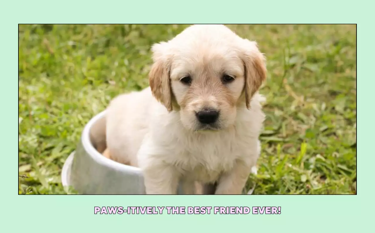 노랑 아기자기한 달력 홍보