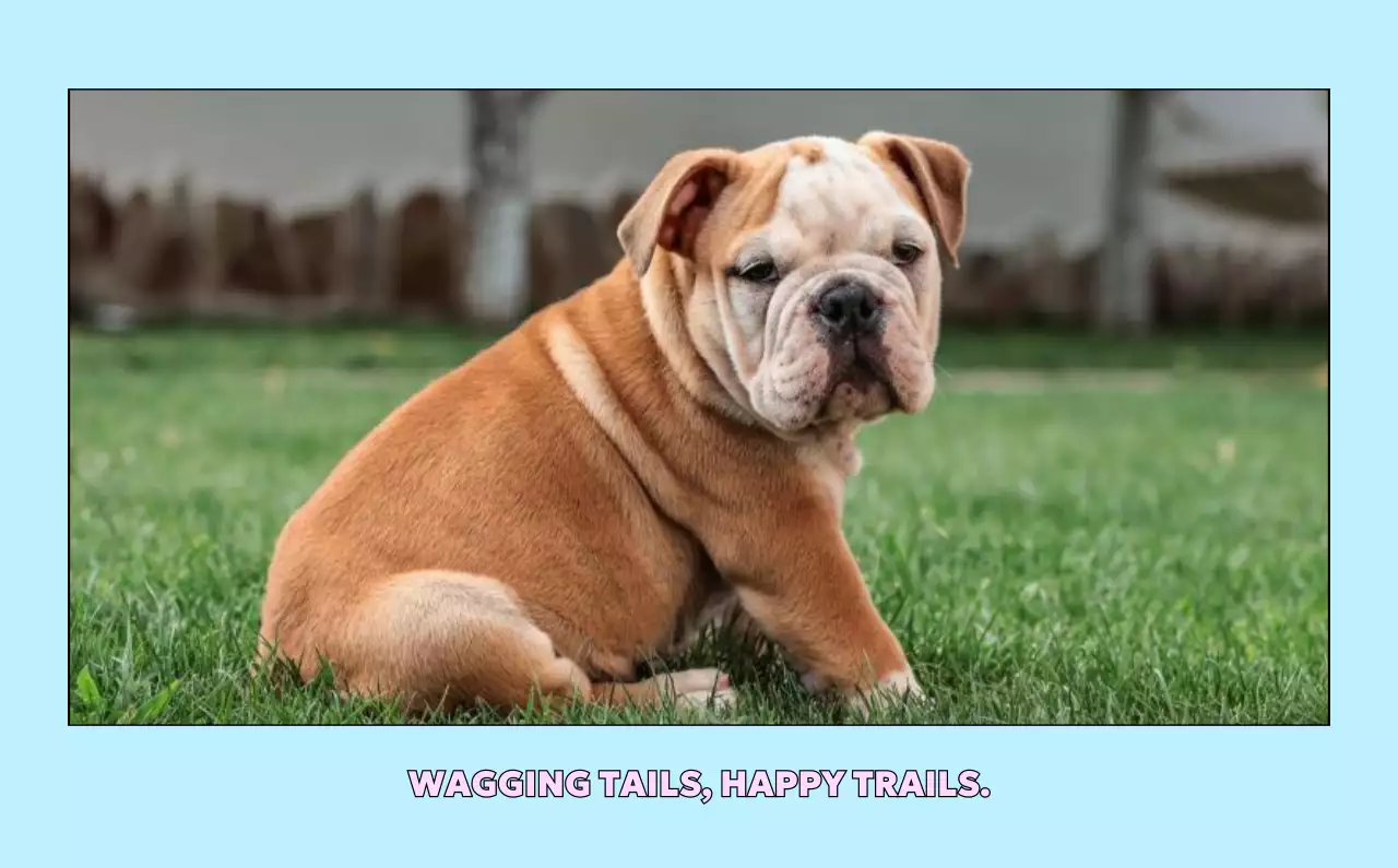 노랑 아기자기한 달력 홍보