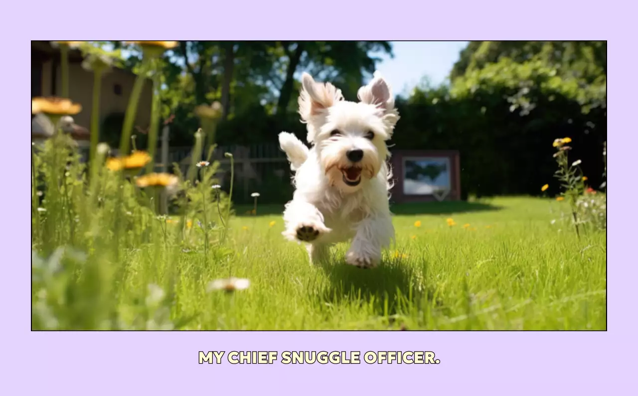 노랑 아기자기한 달력 홍보