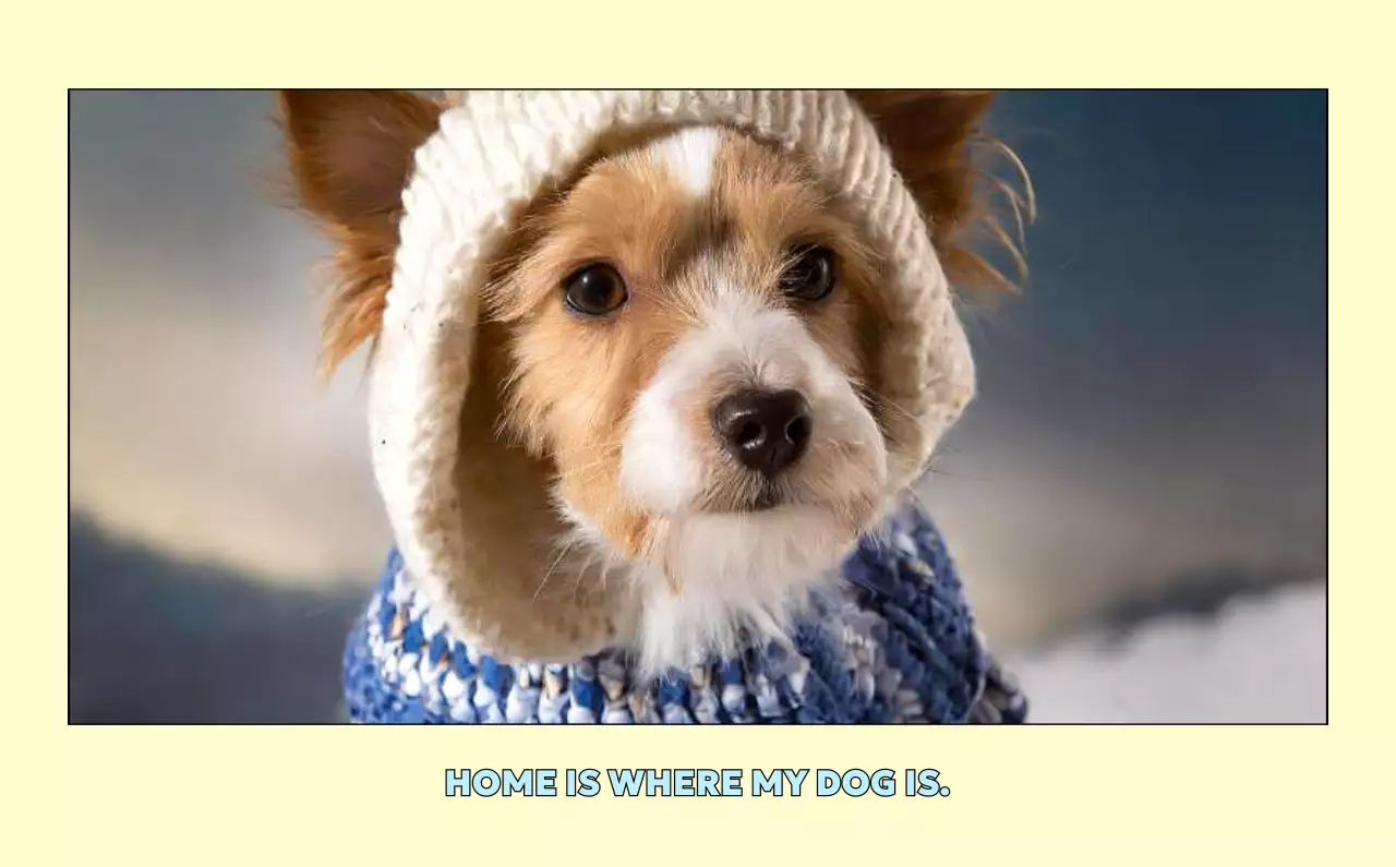 노랑 아기자기한 달력 홍보