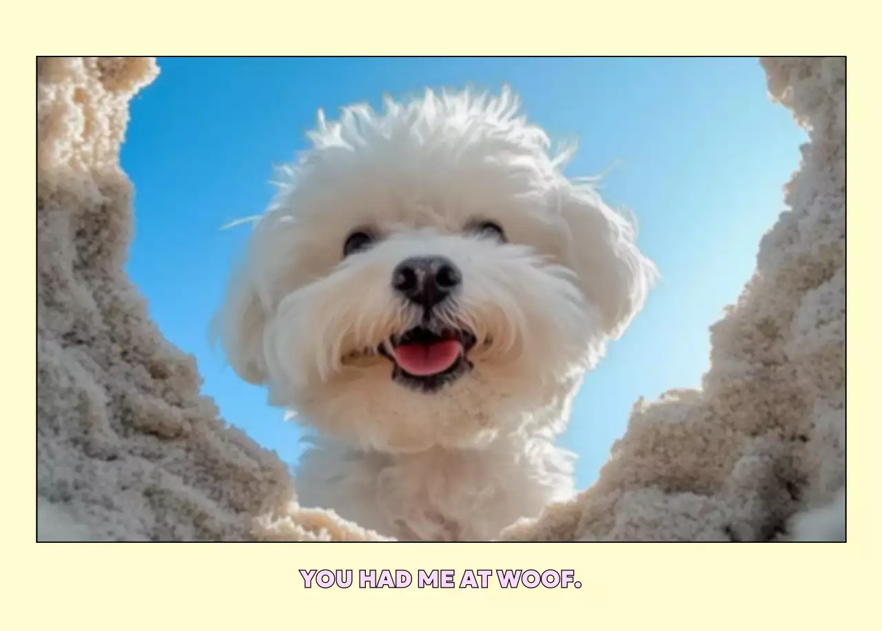 노랑 심플 반려동물 달력