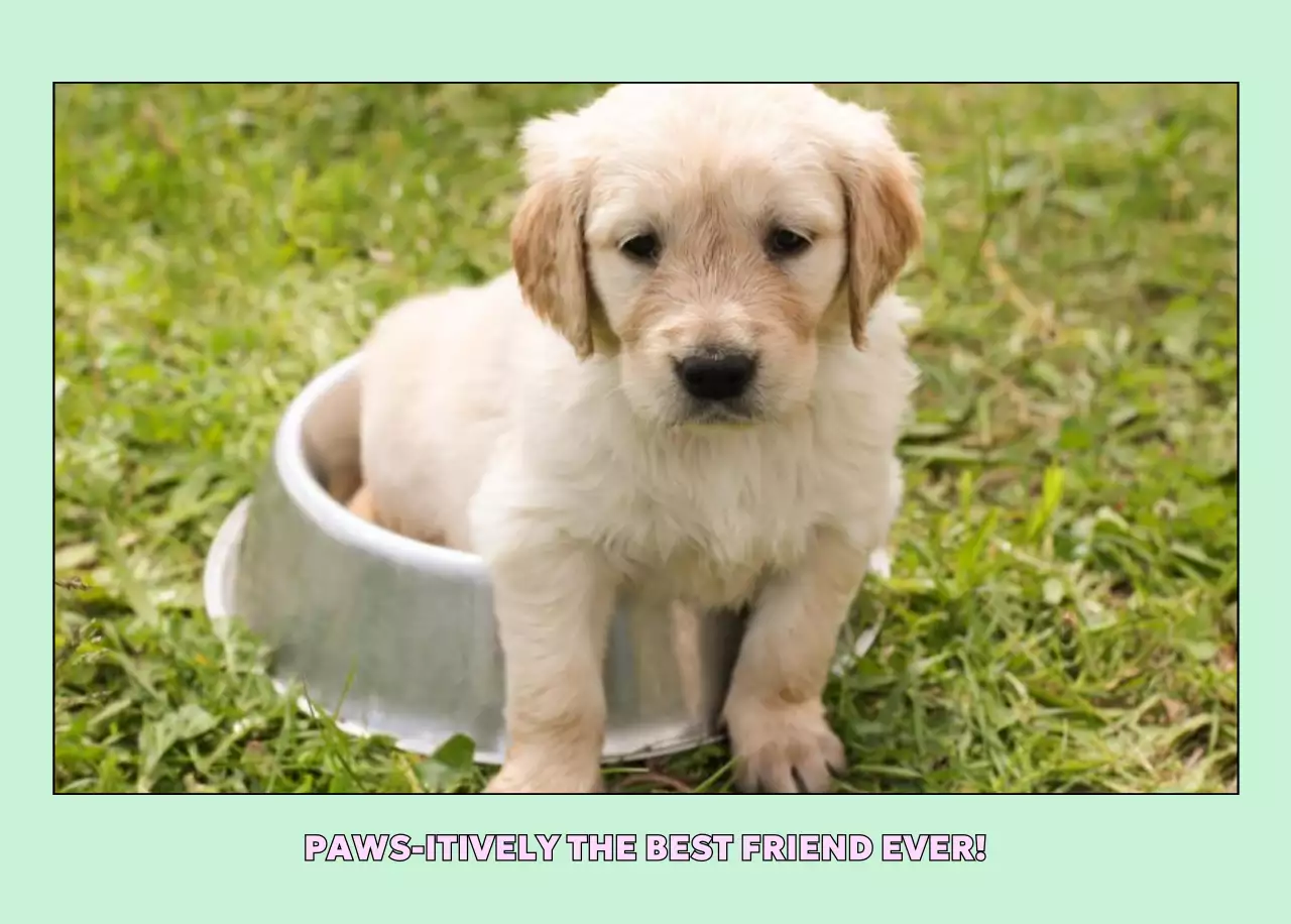 노랑 심플 반려동물 달력