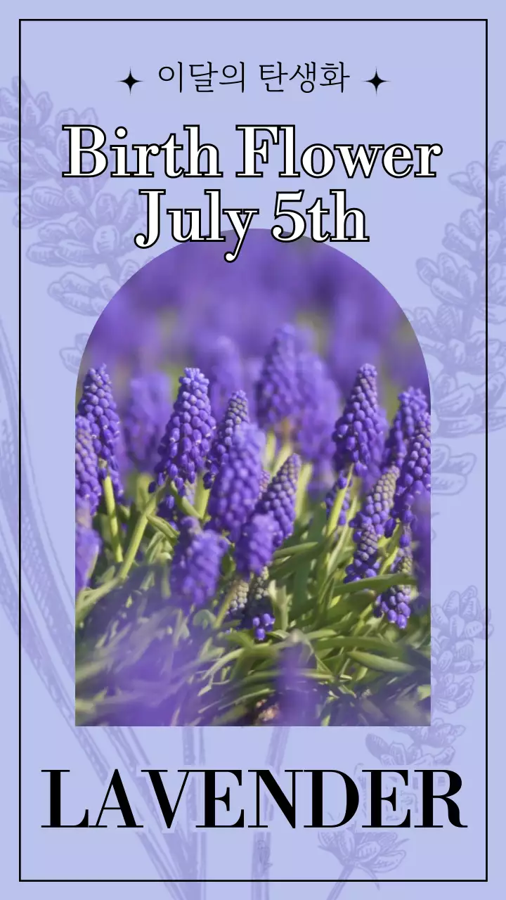 연보라색 클래식 빈티지 컨셉의 이달의 탄생화 라벤더 
