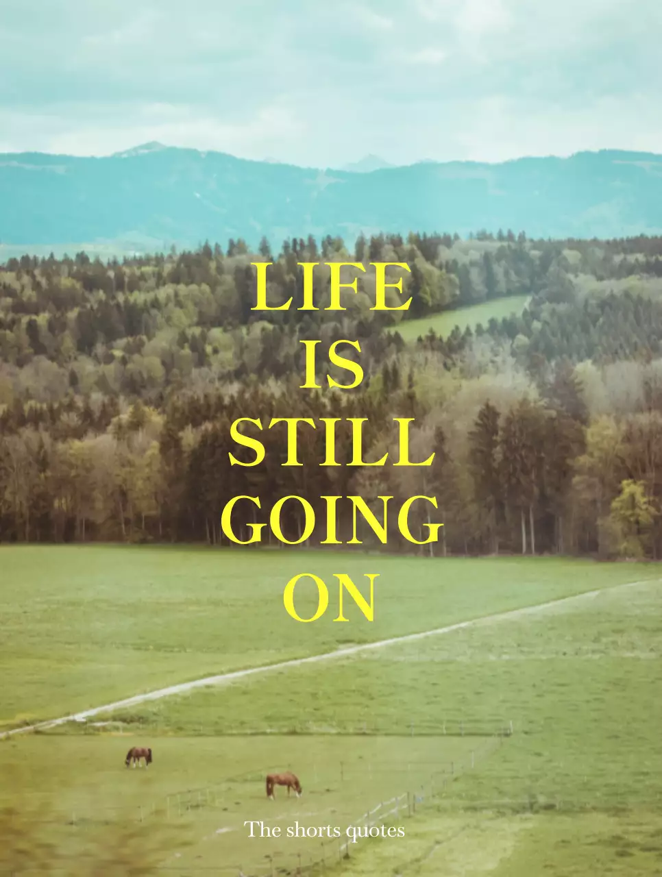 노란색과 흰색의 감성적인 풍경 사진과 감성 텍스트가 적혀 있는 굿즈