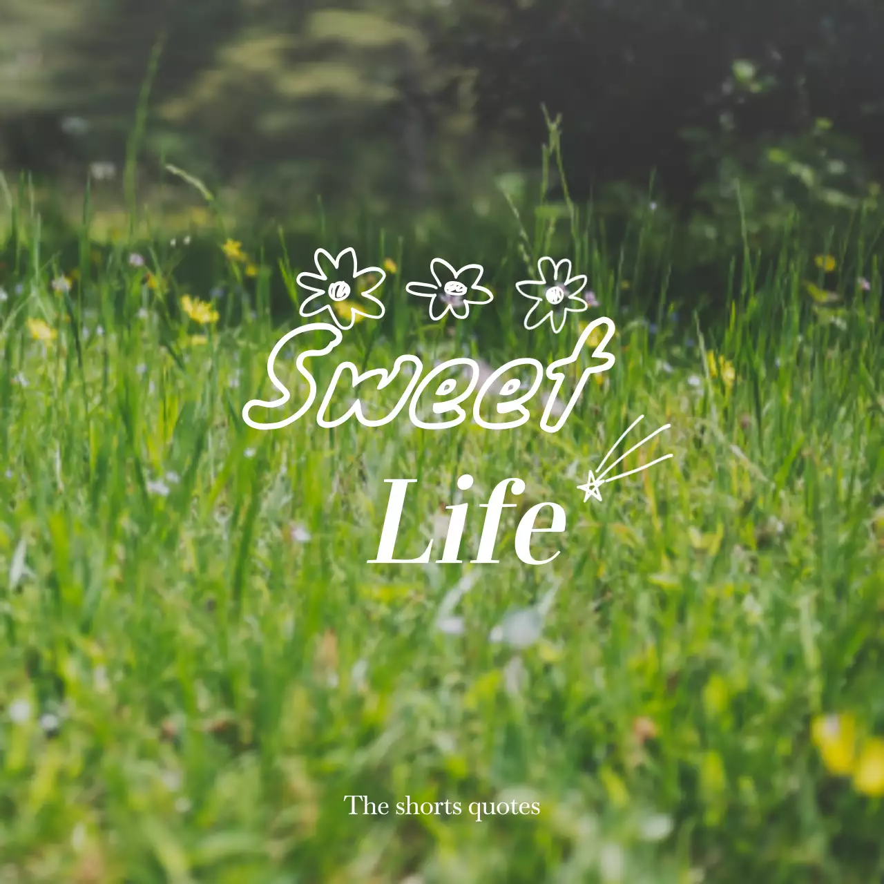 노란색과 흰색의 감성적인 풍경 사진과 감성 텍스트가 적혀 있는 굿즈