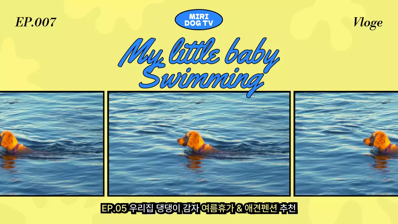 노란색의 귀여운 느낌의 강아지 수영장 홍보 내용