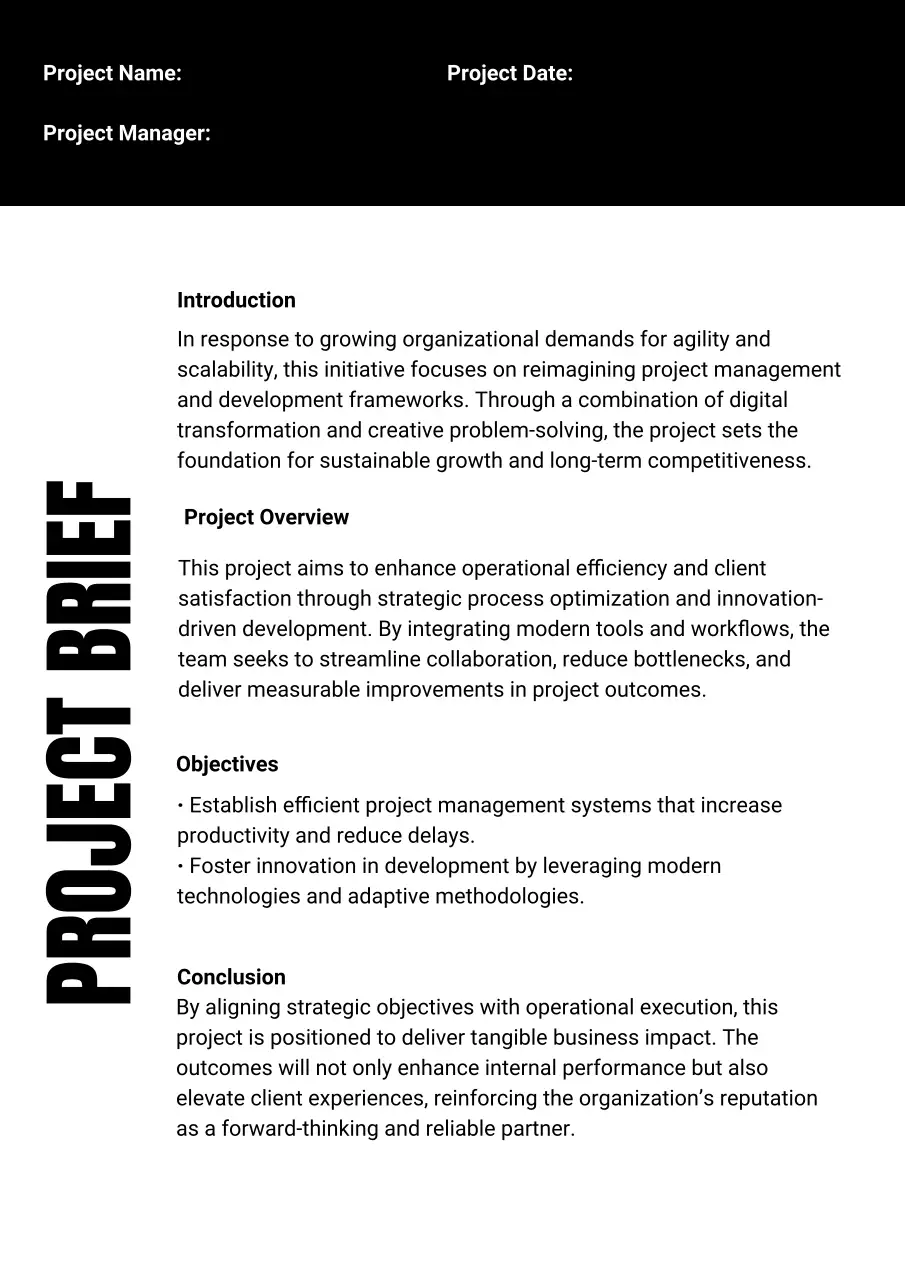 black professional project brief