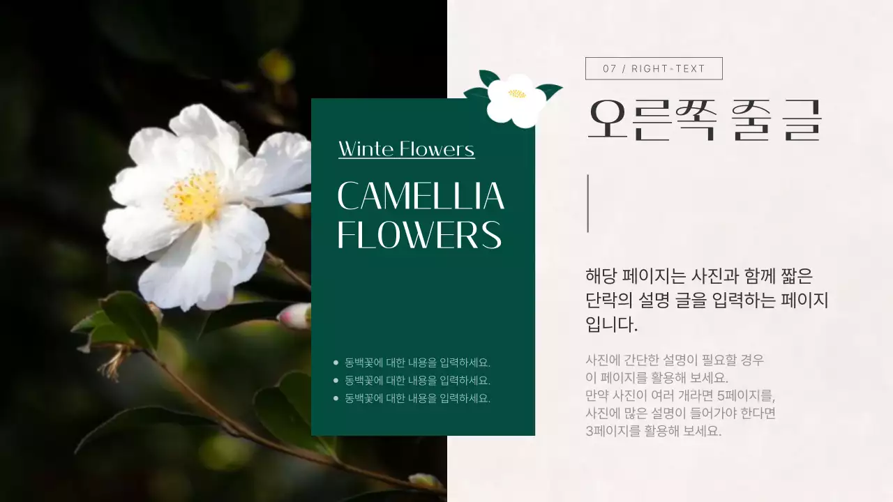 빨강과 초록색의 고급스러운 겨울 꽃 요소를 사용한 기획서