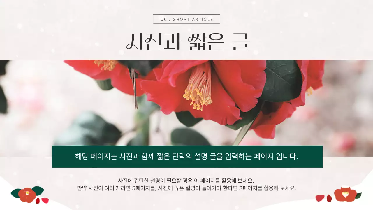빨강과 초록색의 고급스러운 겨울 꽃 요소를 사용한 기획서