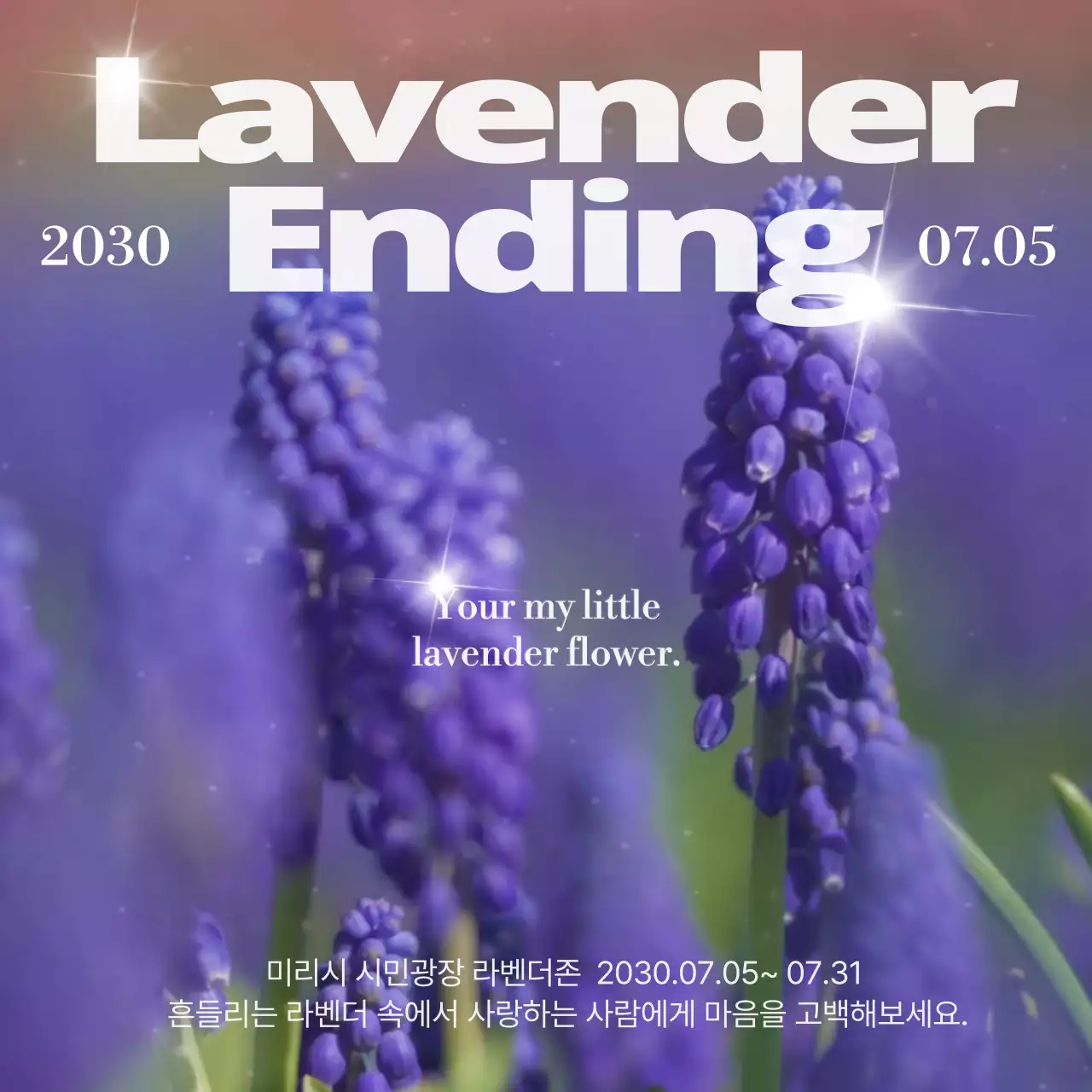 보라색의 심플한 타이포 느낌의 라벤더 축제 홍보 내용