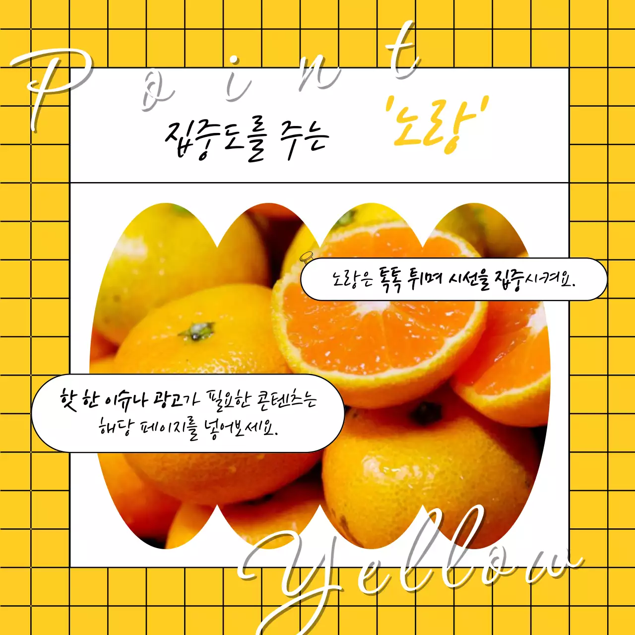 검정과 무지개색의 키치한 색상 베리에이션 카드뉴스 표지