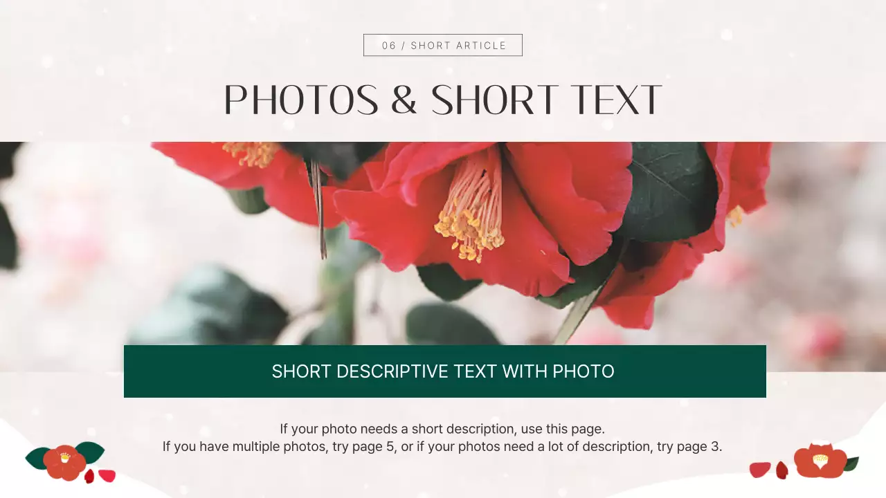 붉은 꽃 꽃 프레젠테이션