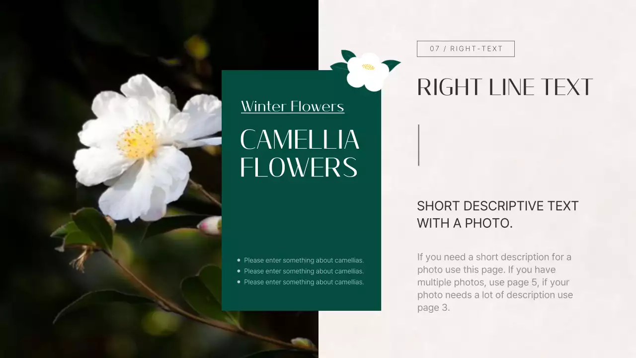 붉은 꽃 꽃 프레젠테이션