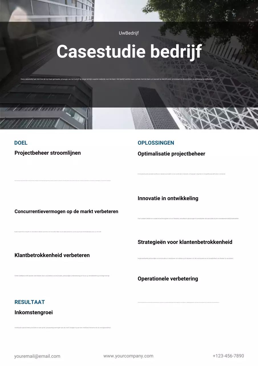 grijs professioneel bedrijfsrapport