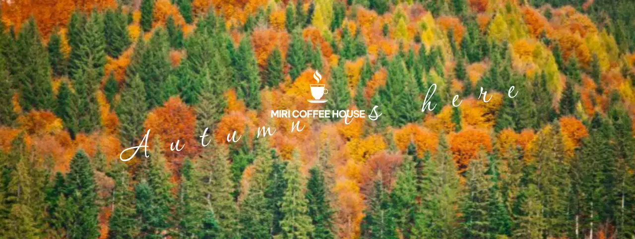 色とりどりの秋色のカエデがいっぱいの山を背景にした筆文字でポイントにした秋らしいカフェ。