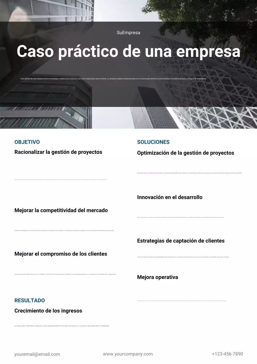 informe comercial profesional gris