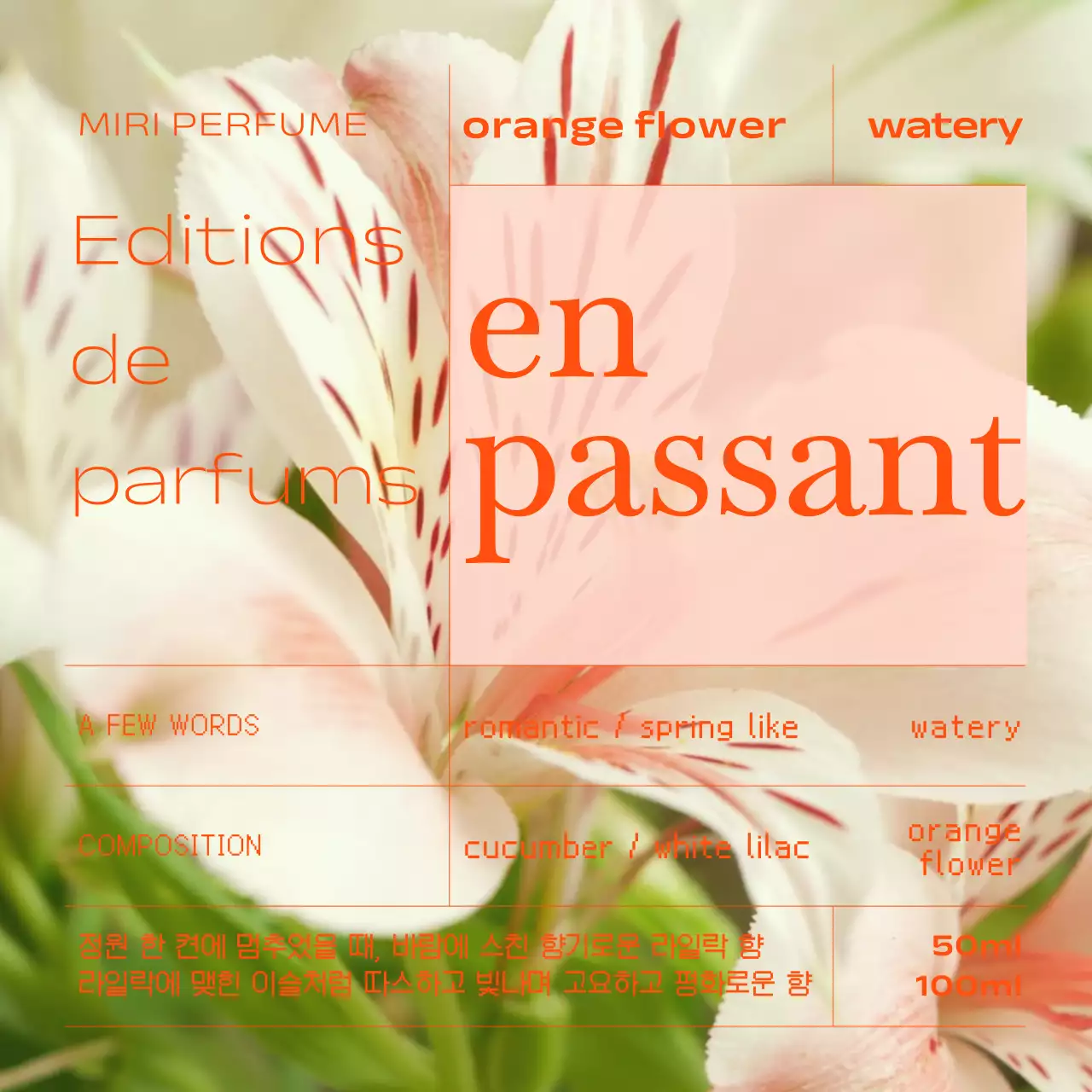 주황색의 모던한 시즌 향수 홍보