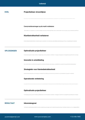 blauwe professionele business case study