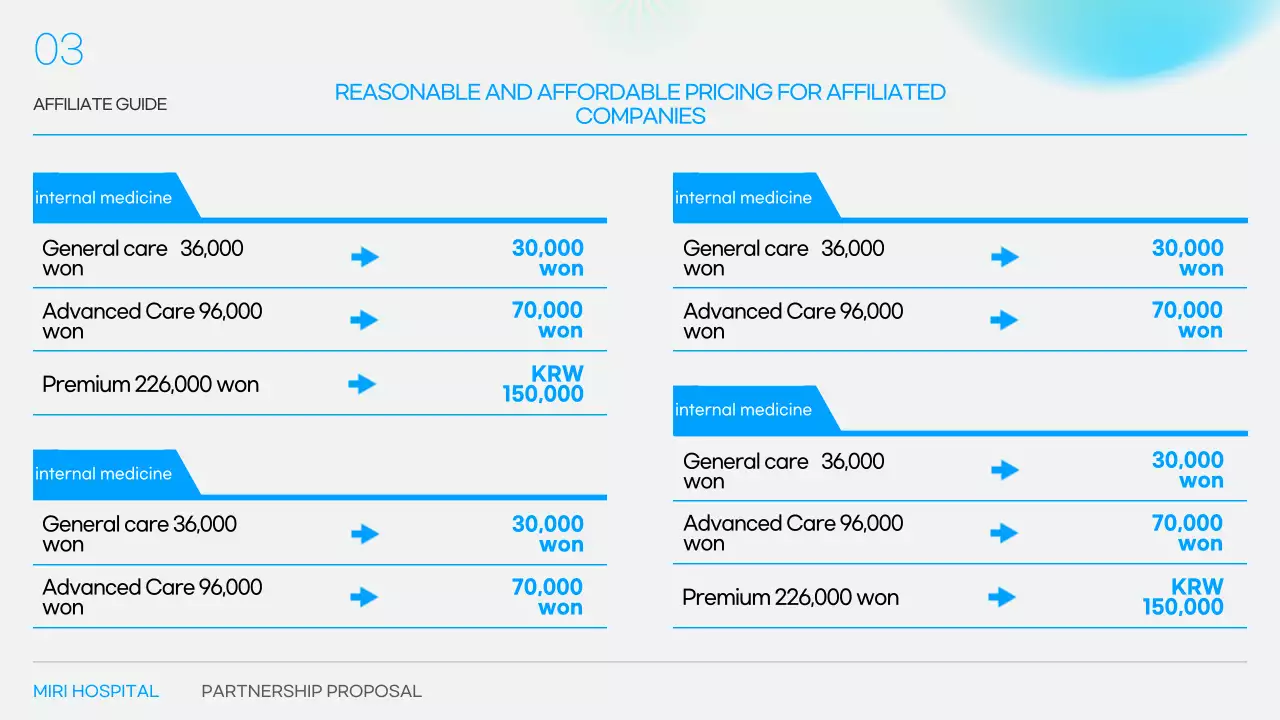블루 프로페셔널 병원 제안서 발표
