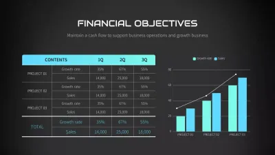 Black Professional Finance Report Infographic