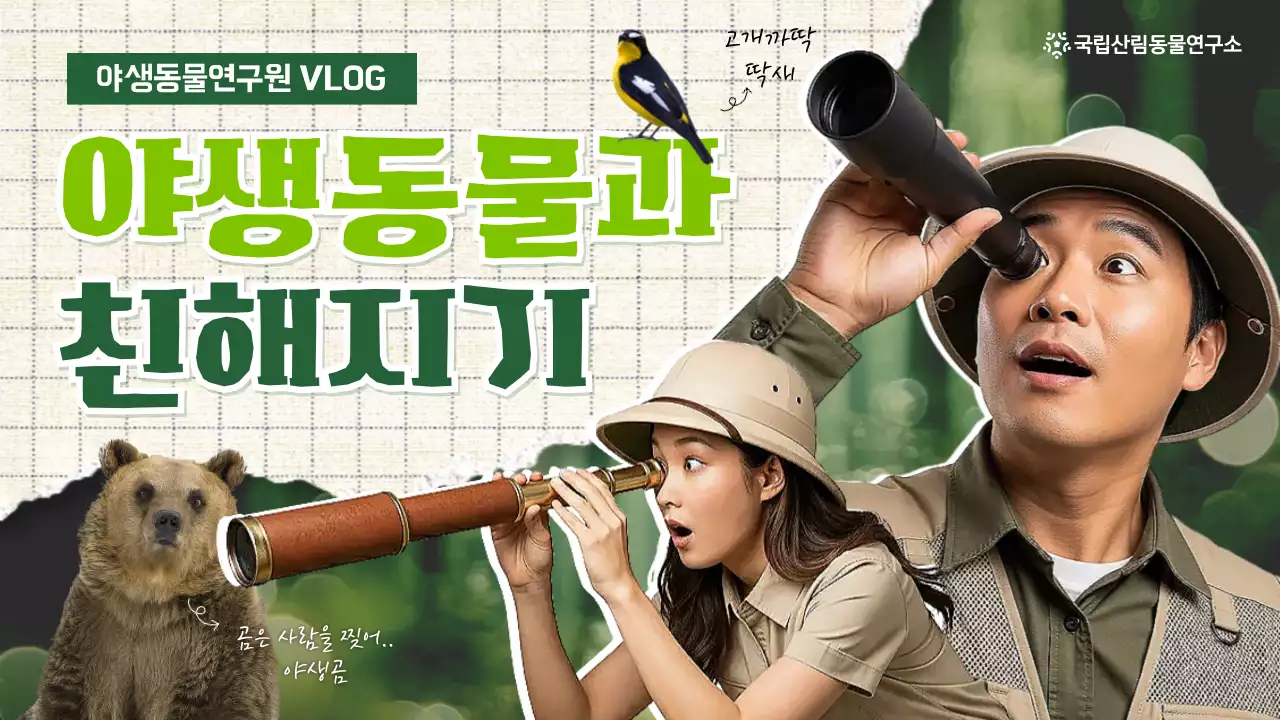 초록 빈티지 탐험 교육 자료