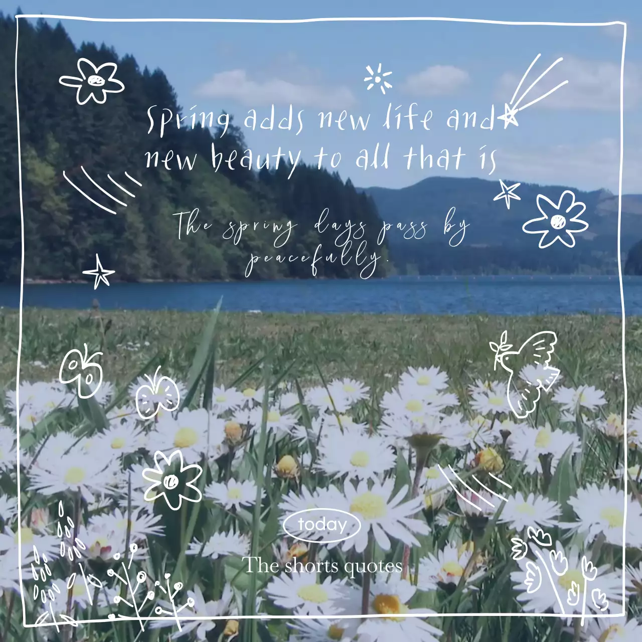 감성적인 들판 영상 배경의 손그림 컨셉 오늘의 글귀