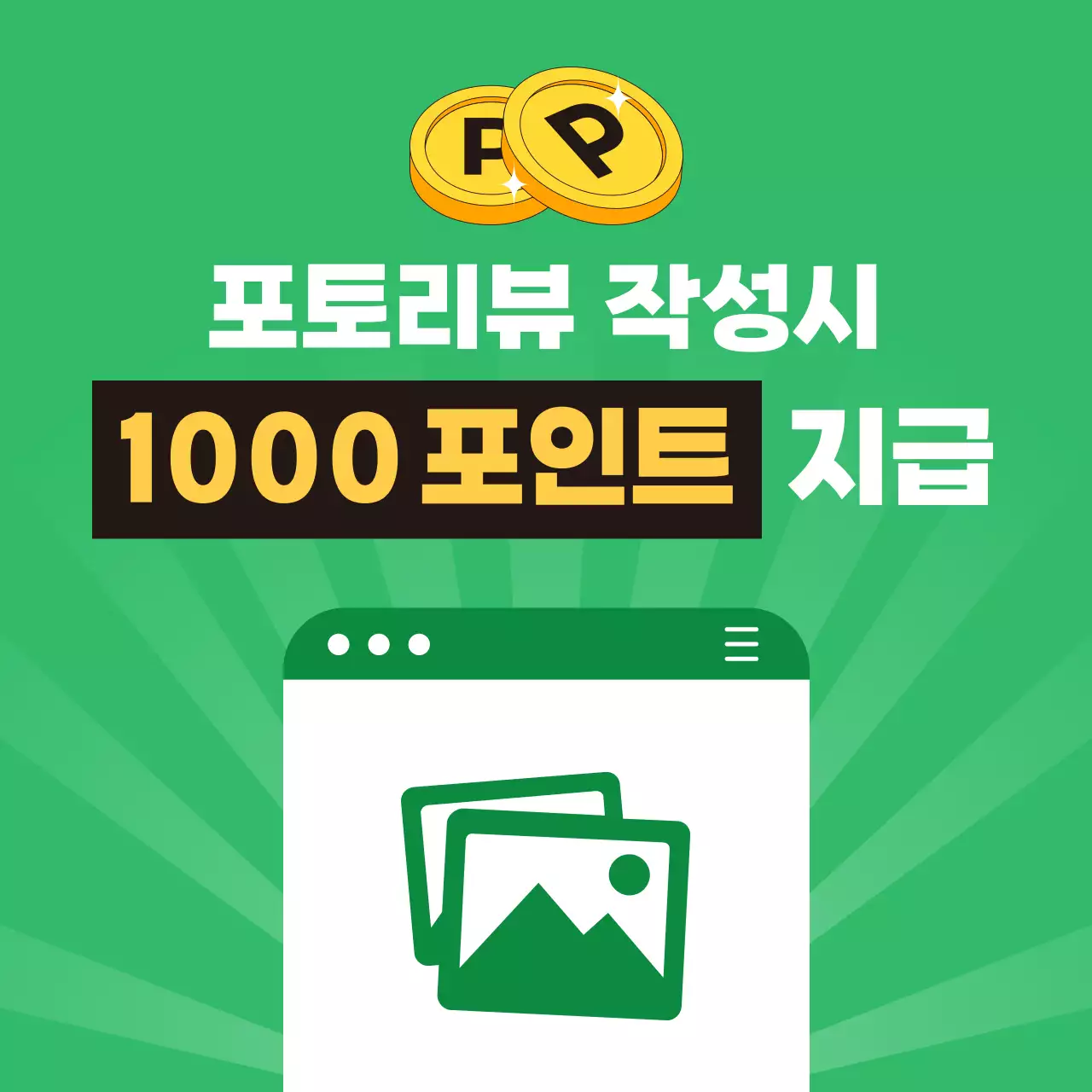 초록 모던 리뷰 이벤트 프로모션