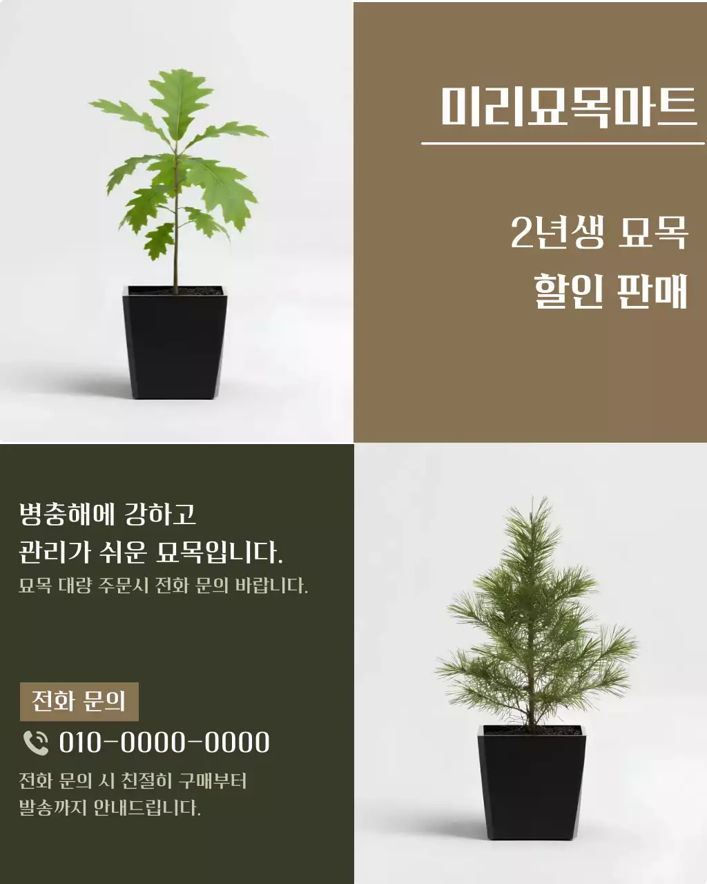 갈색 깔끔 식물 할인