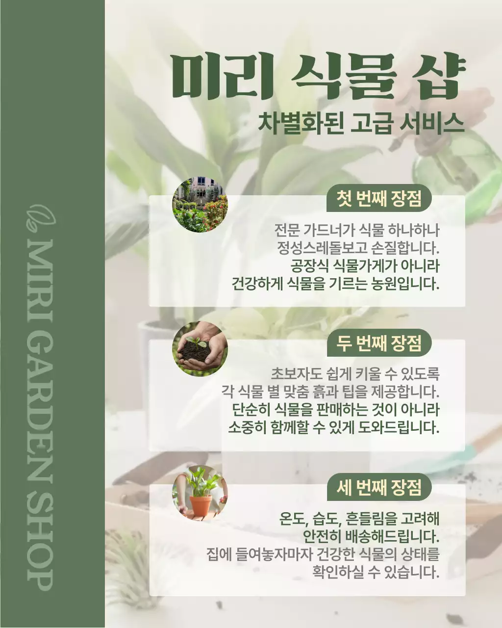 카키 심플 식물 가게 홍보