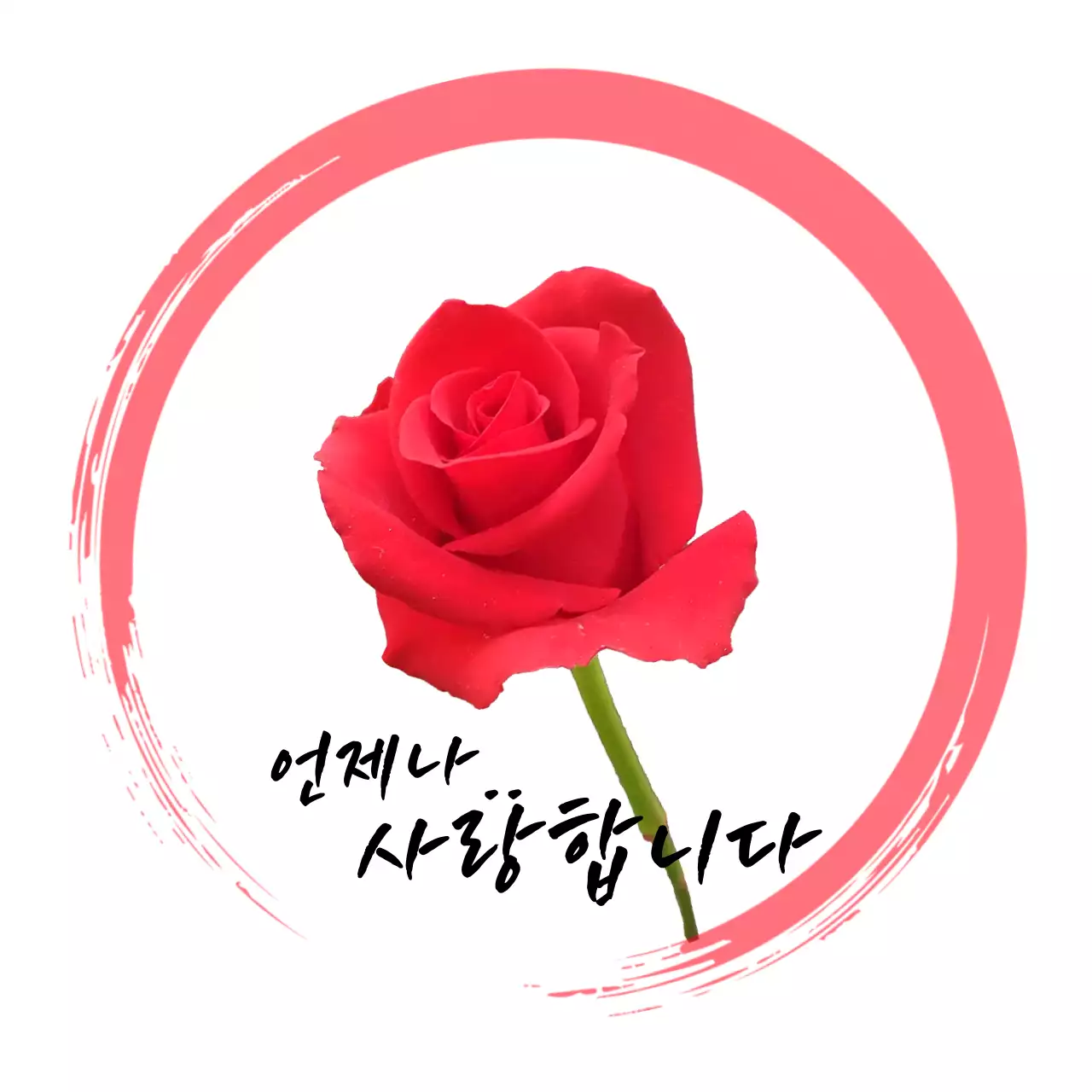 빨강 원형의 장미꽃 심플 사랑 엽서 스티커