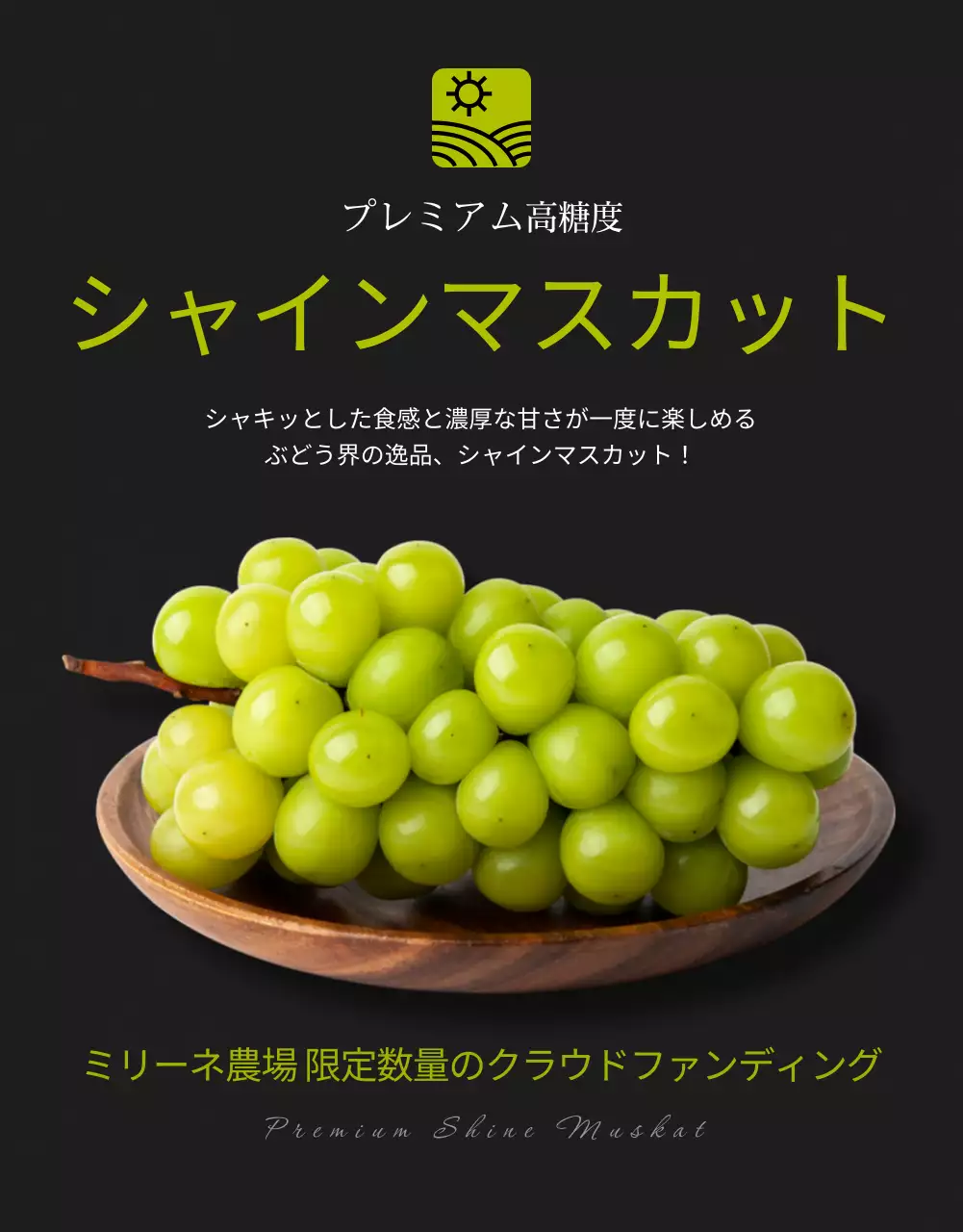 黒 上品 フルーツ パンフレット 詳細ページ