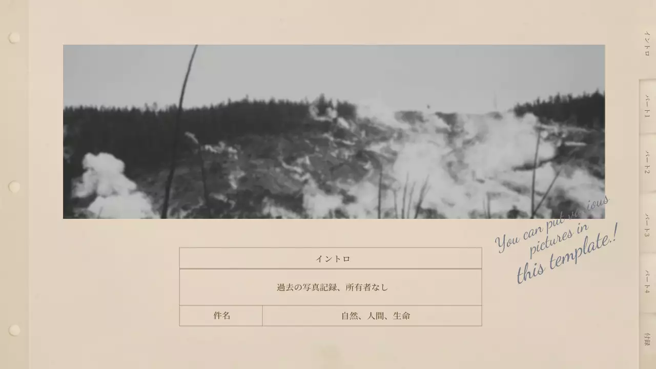 ベージュ クラシック 写真 アルバム プレゼンテーション